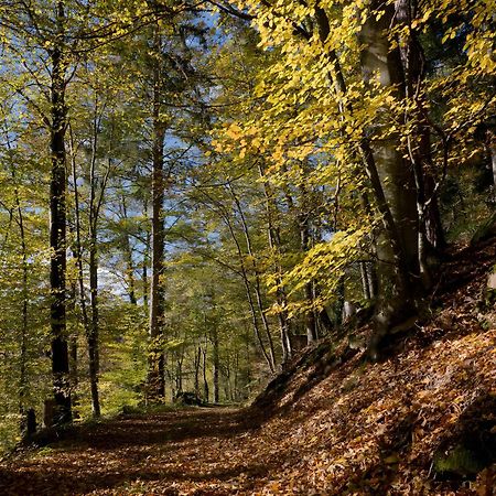 Haus Zur Bienenweide Lägenhet Schömberg Exteriör bild