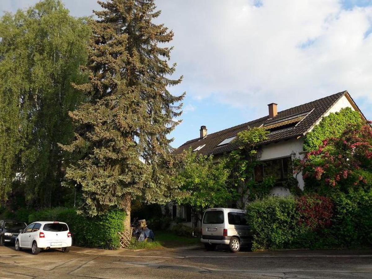 Haus Zur Bienenweide Lägenhet Schömberg Exteriör bild
