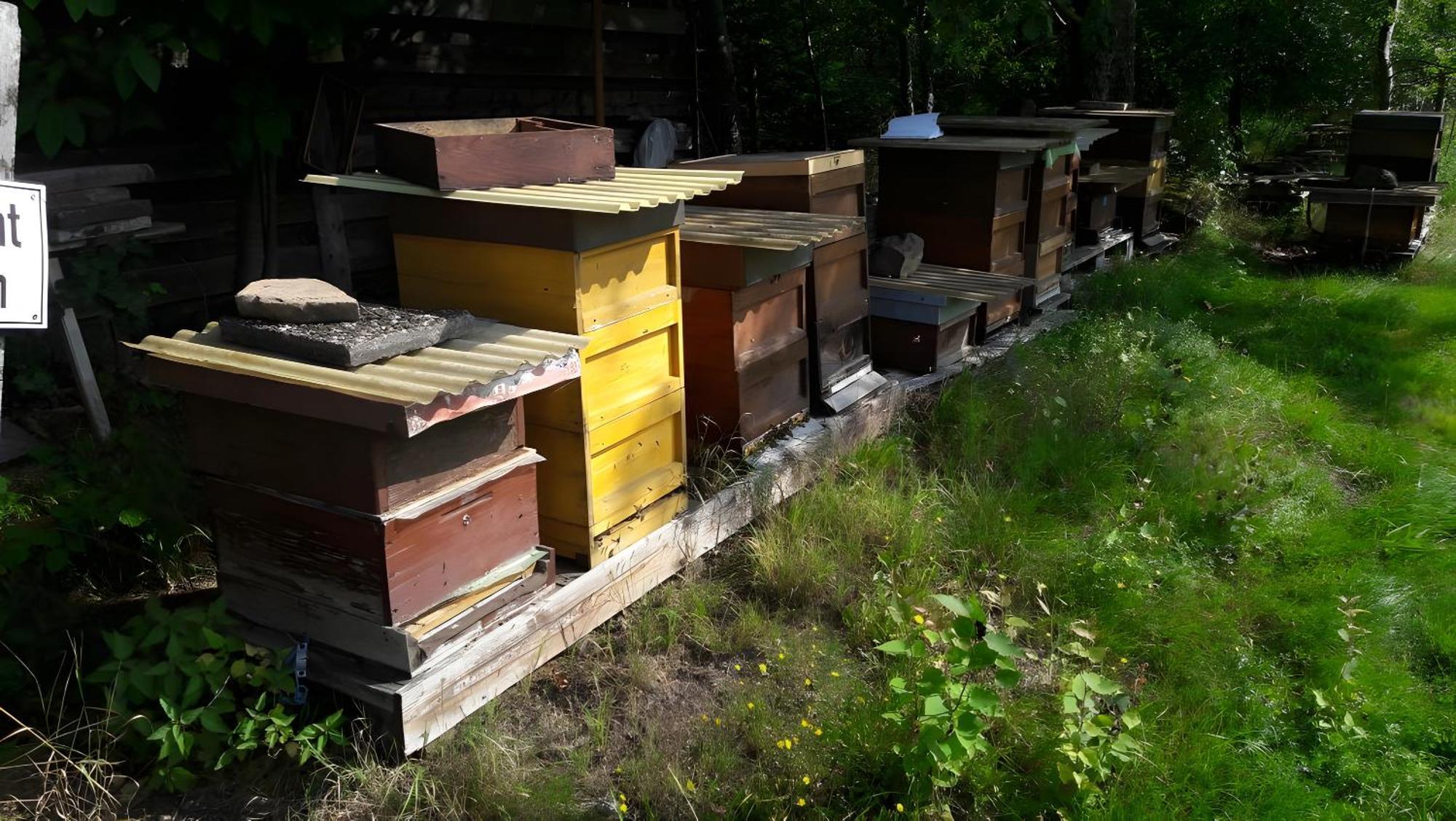 Haus Zur Bienenweide Lägenhet Schömberg Exteriör bild